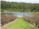 1891 Anderleigh Rd, Anderleigh QLD 4570