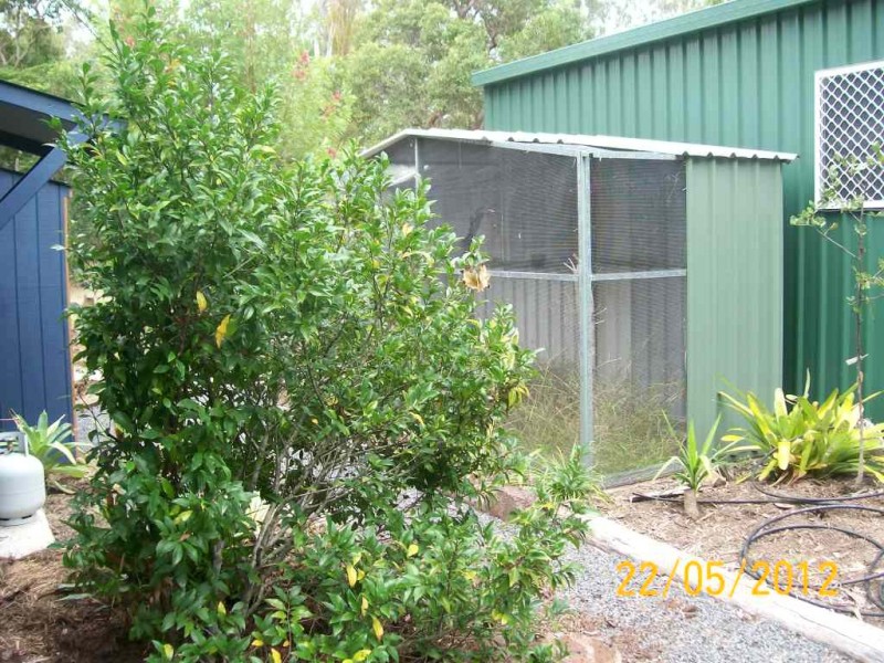 560 Rocks Road, Pie Creek QLD 4570