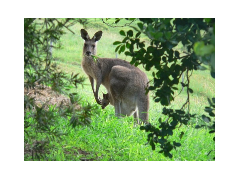 Goomboorian QLD 4570