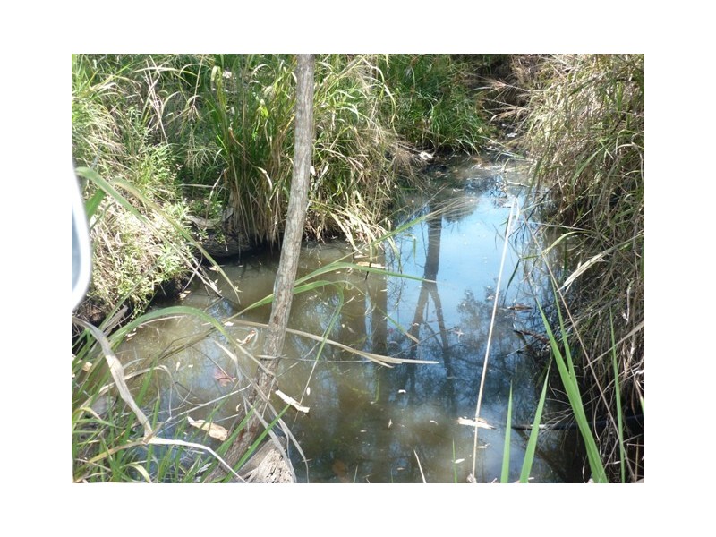 Curra QLD 4570