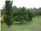 Curra QLD 4570