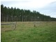 Goomboorian QLD 4570