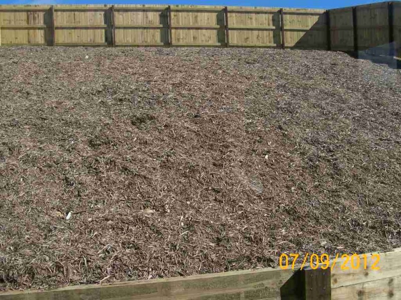 3 Judicial Street, Jones Hill QLD 4570