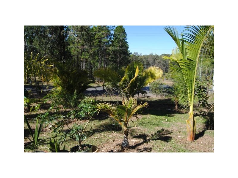 40 Arbortwelve, Glenwood QLD 4570