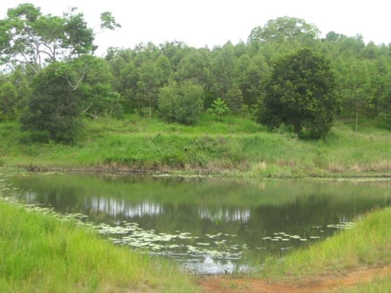 Canina QLD 4570