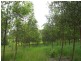 Canina QLD 4570