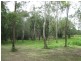 The Dawn QLD 4570
