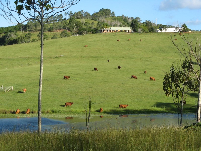 Amamoor QLD 4570