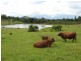 Amamoor QLD 4570