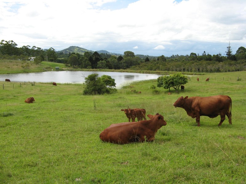 Amamoor QLD 4570
