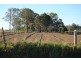 Kia Ora QLD 4570