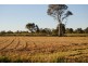 Kia Ora QLD 4570