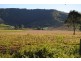 Kia Ora QLD 4570