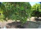 Kilkivan QLD 4600