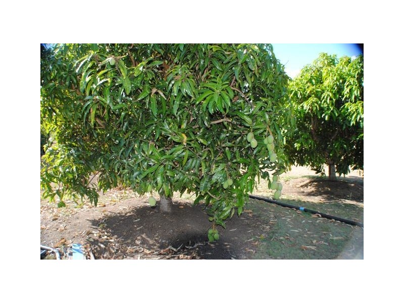 Kilkivan QLD 4600