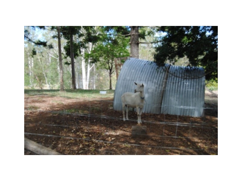 Amamoor QLD 4570