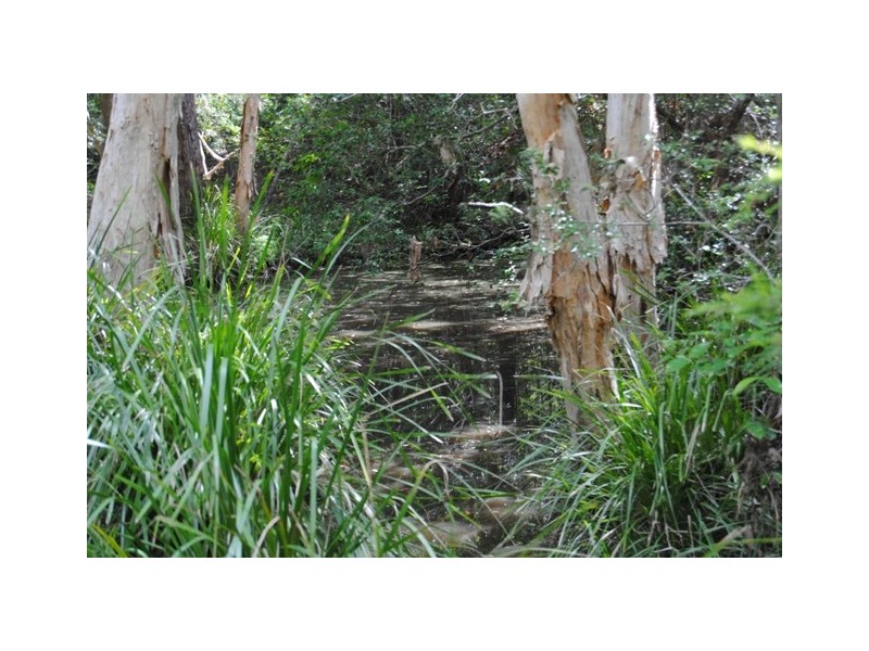 Tamaree QLD 4570