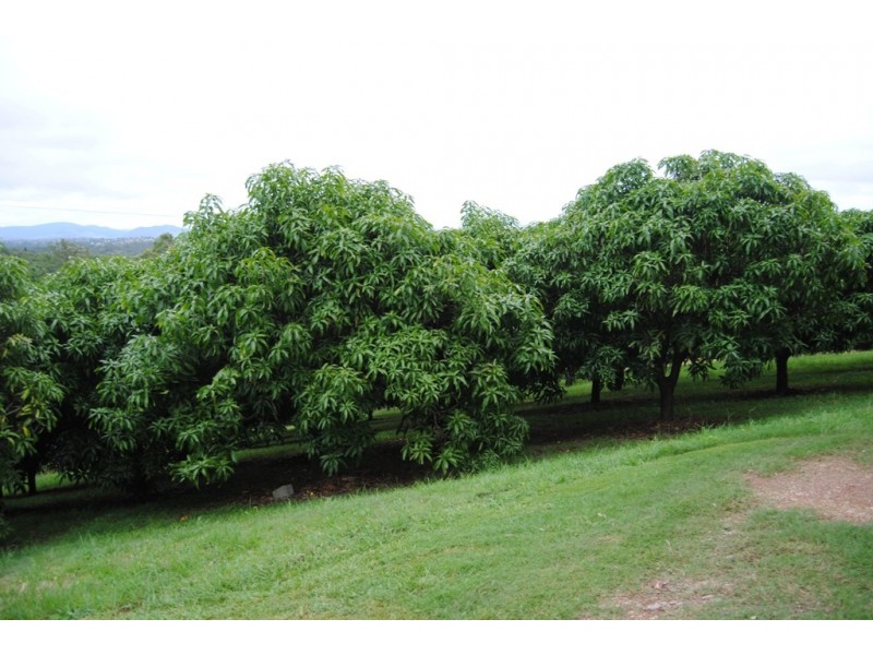 Greens Creek QLD 4570