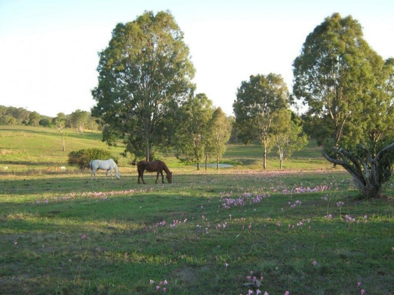 Gootchie QLD 4650