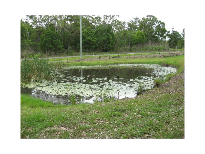 19 Morley Rd, Canina QLD 4570