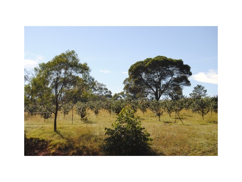 Cedar Pocket QLD 4570