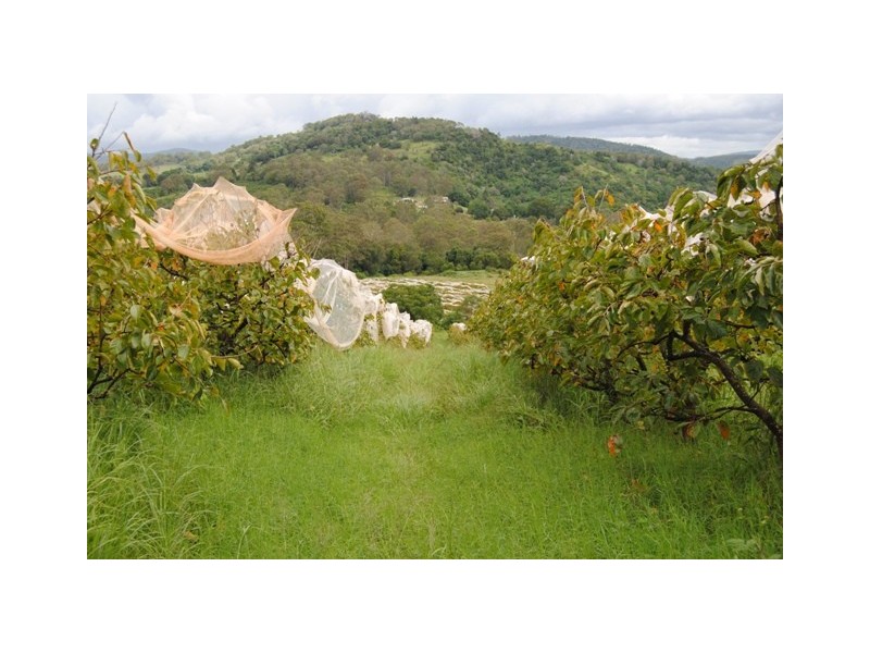 255 Amamoor Creek Rd, Amamoor QLD 4570