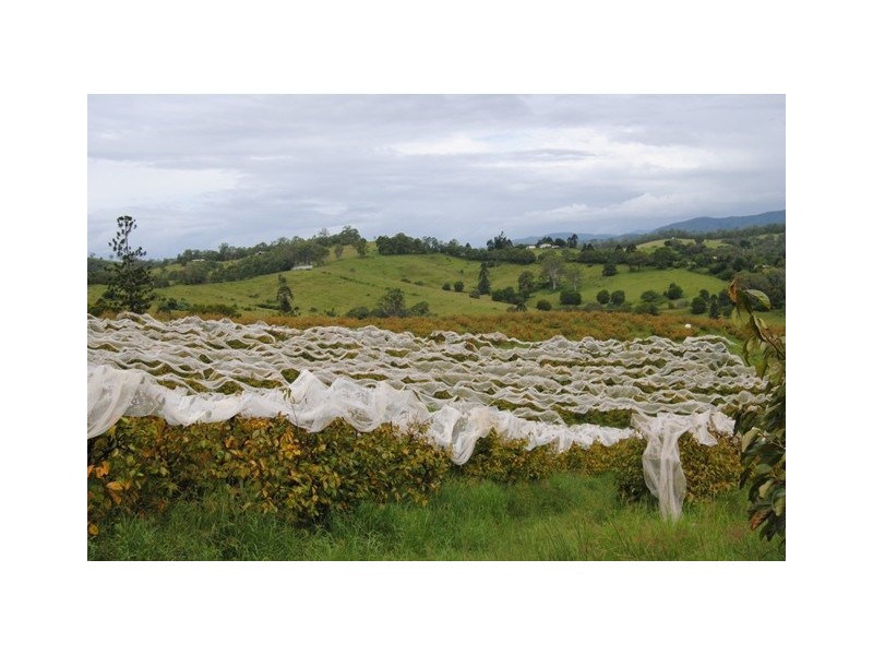 255 Amamoor Creek Rd, Amamoor QLD 4570