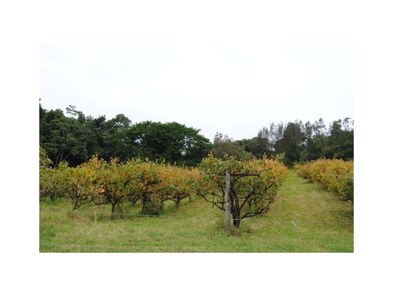 255 Amamoor Creek Rd, Amamoor QLD 4570