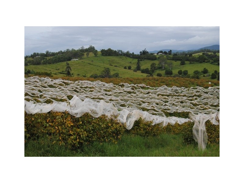 255 Amamoor Creek Rd, Amamoor QLD 4570