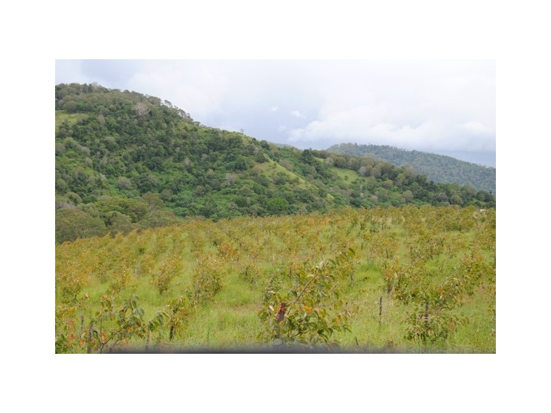 255 Amamoor Creek Rd, Amamoor QLD 4570