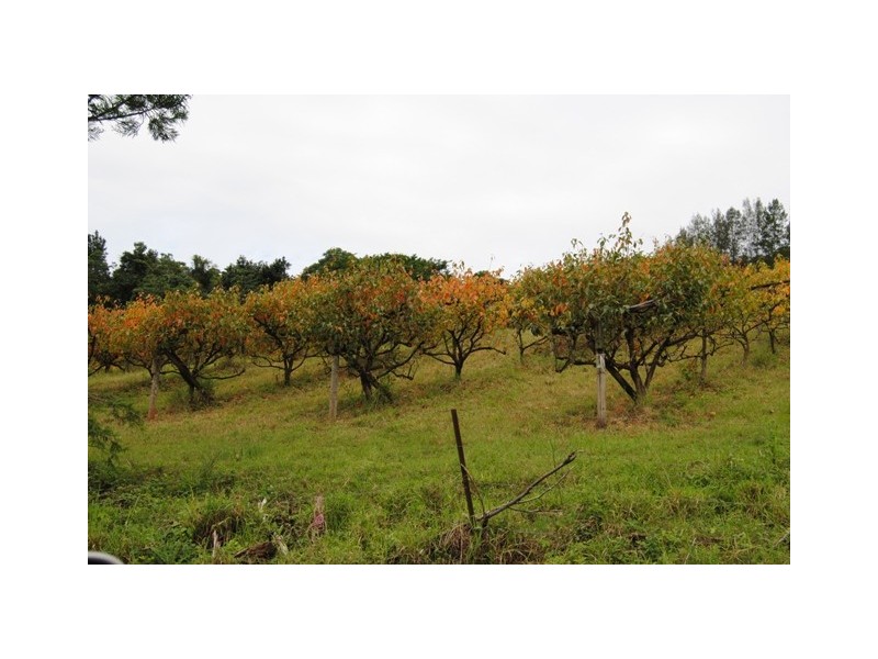 255 Amamoor Creek Rd, Amamoor QLD 4570