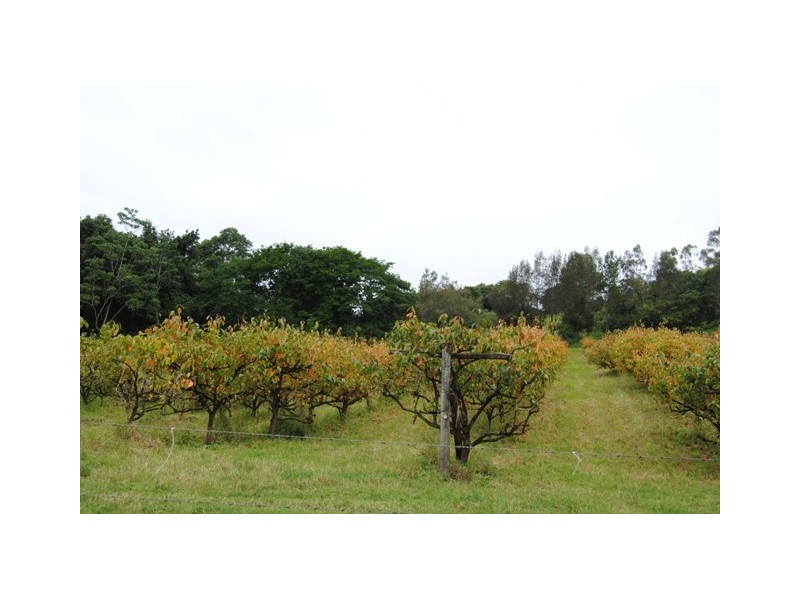 255 Amamoor Creek Rd, Amamoor QLD 4570