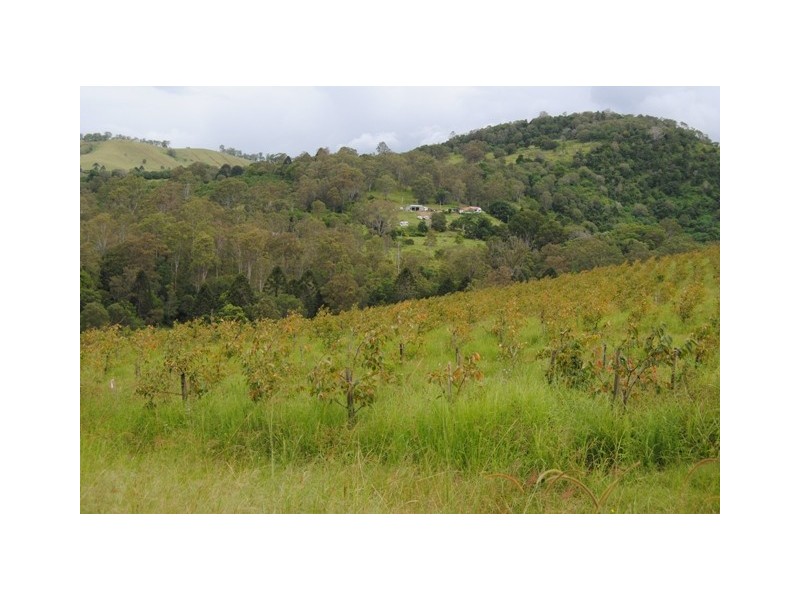 255 Amamoor Creek Rd, Amamoor QLD 4570