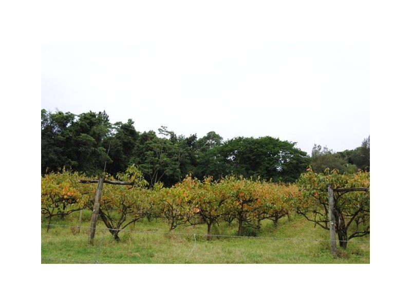 255 Amamoor Creek Rd, Amamoor QLD 4570