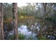 Lot 4 Gum Tree, Araluen QLD 4570