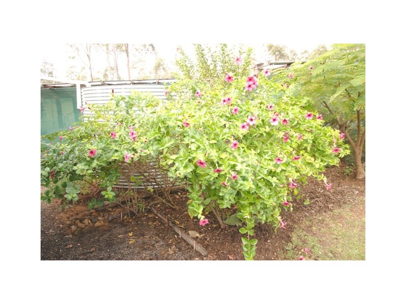 Glenwood QLD 4570