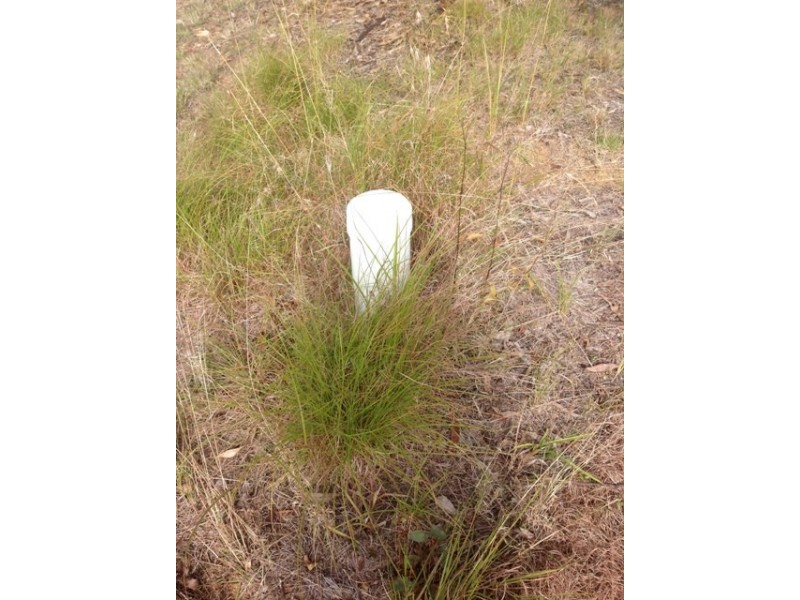 Lot 119 Trotter Rd, Glenwood QLD 4570