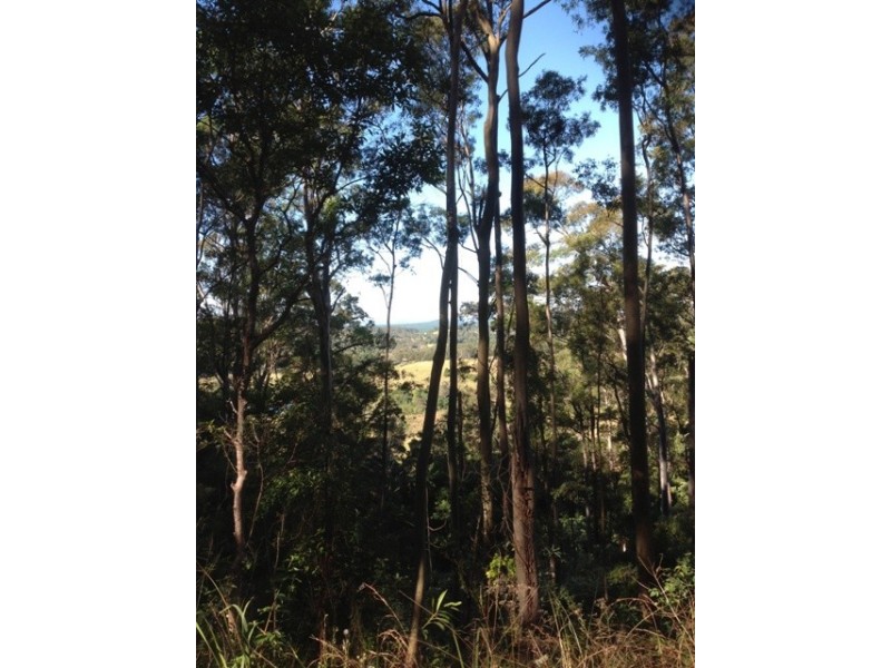 Wolvi QLD 4570