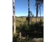 Wolvi QLD 4570