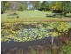 15 Lukin Rd, The Palms QLD 4570