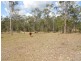 lot 137 Neerdie Rd, Glenwood QLD 4570