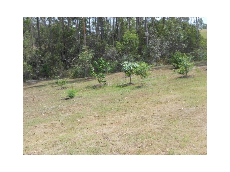 Tamaree QLD 4570