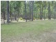 lot 379 Arbor 16 Rd, Glenwood QLD 4570