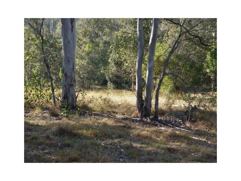 Banks Pocket QLD 4570