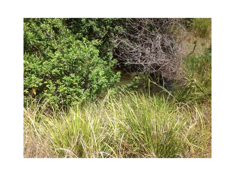 Lot 21 Mcmurtrie, Chatsworth QLD 4570