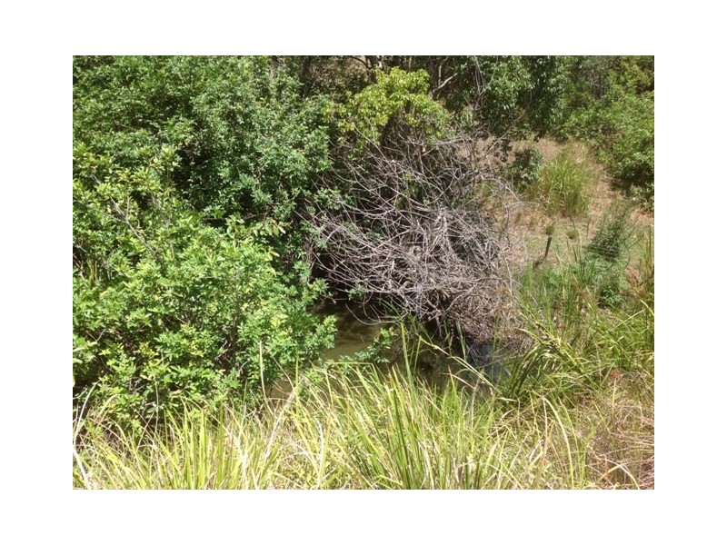 Lot 21 Mcmurtrie, Chatsworth QLD 4570