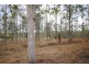 Lot 44 Albrecht Rd, Corella QLD 4570