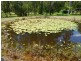 Glenwood QLD 4570