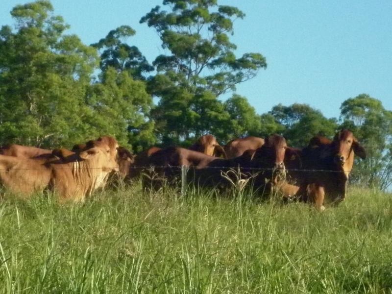 Goomboorian QLD 4570