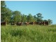 Goomboorian QLD 4570